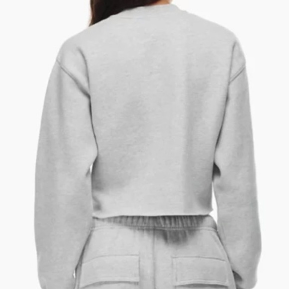 Aritzia Tna Cozy Fleece Perfect Cropped Sweatshirt - Picture 2 of 9